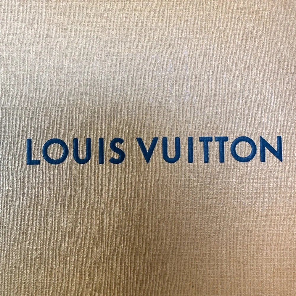 Unlisted LV wallet Project/Junk no return